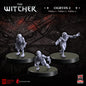 The Witcher - Ogryds 2: Nekkers